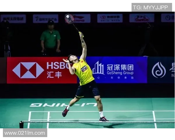 上海羽毛球队总决赛技术分析与表现评估全面解读